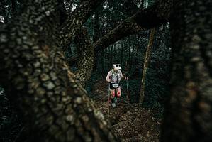 BIB: 
                            <button type="button" onclick="openModal(25684750)" class="btn btn-primary btn-sm float-right btn-popup" data-toggle="modal" data-target=".modal-high-quality">
                        <i class="fas fa-shopping-cart"></i> Add to Cart
                    </button>
                                            <button type="button" onclick="isThisMe(25684750, true)" class="btn btn-success btn-sm float-right btn-popup btn-isme hidden" data-toggle="tooltip" data-placement="bottom" title="นี่คือรูปของคุณใช่ไหม คลิกที่นี่เพื่อเอาเข้าอัลบั้ม">
                        <i class="fas fa-plus"></i> Add to album
                    </button>
                    <button type="button" onclick="isThisMe(25684750, false)" class="btn btn-warning btn-sm float-right btn-popup btn-isnotme hidden">
                        <i class="fas fa-ban"></i> Remove from album
                    </button>